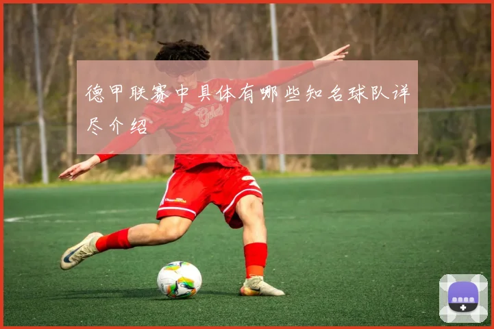 德甲联赛中具体有哪些知名球队详尽介绍