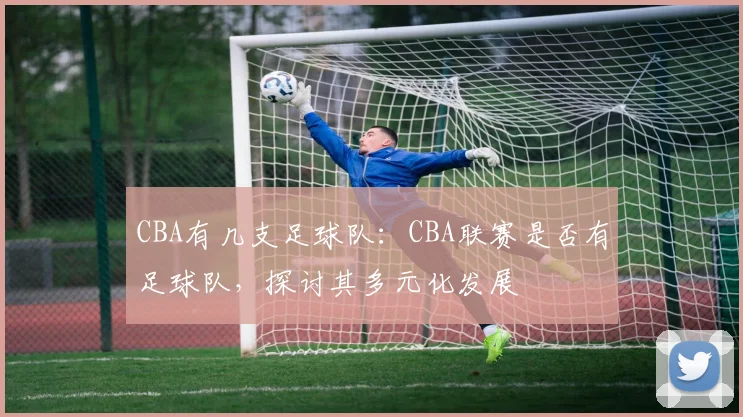 CBA有几支足球队：CBA联赛是否有足球队，探讨其多元化发展